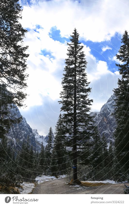 Fischleinbachtal Tourismus Ausflug Winter wandern Natur Landschaft Pflanze Wolken Herbst Schönes Wetter Baum Moos Blatt Wald Sehenswürdigkeit kalt Ausflugsziel