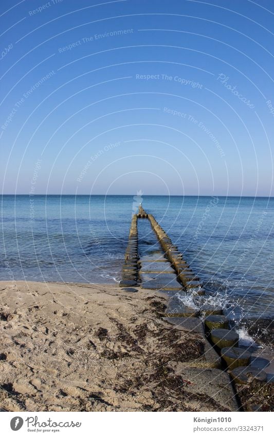 Buhnen im blauen Wasser Natur Landschaft Sand Himmel Wolkenloser Himmel Horizont Sommer Schönes Wetter Küste Strand Ostsee Insel genießen maritim natürlich