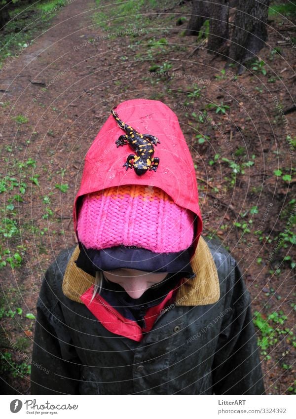 FEUERSALAMANDER, ROTKÄPPCHEN UND/ODER RUMPELSTILZCHEN wandern Mensch feminin androgyn Kind Mädchen Kindheit Kopf 1 8-13 Jahre Umwelt Natur Klima Regen Wald