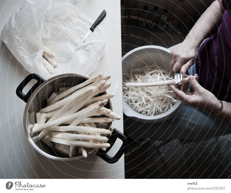 Spargelzeit Arbeit & Erwerbstätigkeit Haushaltsführung Vorbereitung häuten Mensch feminin Frau Erwachsene Arme Hand Finger 1 lecker Vorfreude geduldig fleißig