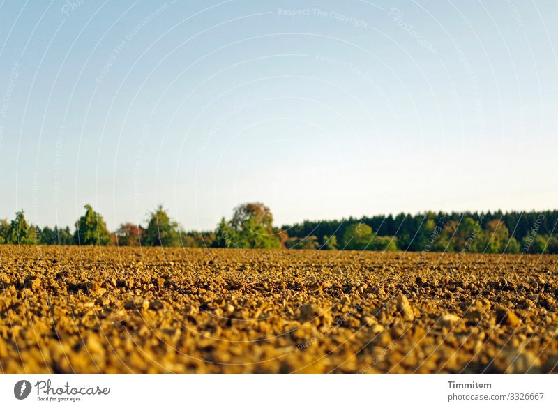 Ein weites Feld Acker Ackerboden Baum Bäume am Horizont Wald natürlich Landschaft Umwelt Landwirtschaft grün braun blau Himmel Menschenleer Ackerbau