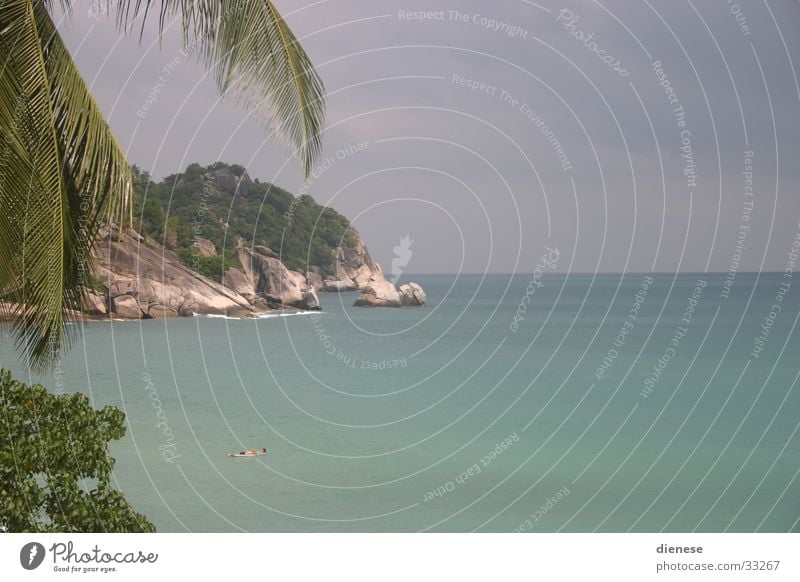 the beach/top secret Thailand Strand Meer Ferien & Urlaub & Reisen Palme Natur Sonne Sand Allein am Strand Luftmatraze Felsen