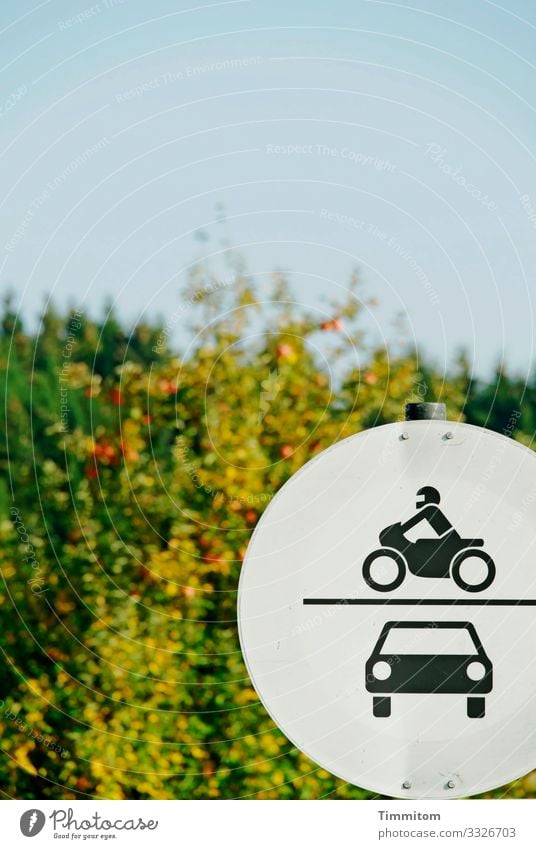 Verkehrsschild, erblasst Umwelt Natur Baum Blatt Wald Verkehrszeichen Metall Zeichen Schilder & Markierungen blau gold grün schwarz weiß kraftlos Farblosigkeit