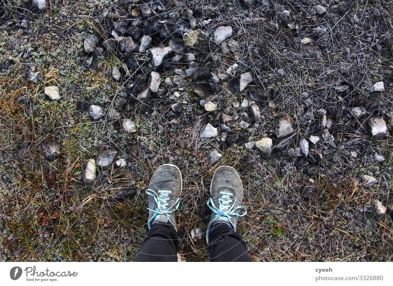 frostiger Spaziergang Fuß Pflanze Erde Winter Eis Frost beobachten frieren laufen wandern frei kalt trist trocken Abenteuer Einsamkeit einzigartig Freiheit