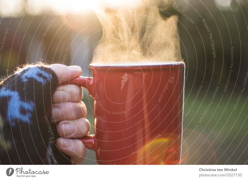 Hand hält roten Becher mit dampfendem Getränk gegen das Licht Heißgetränk Tee Glühwein Frau Erwachsene Finger 1 Mensch 45-60 Jahre Garten festhalten authentisch