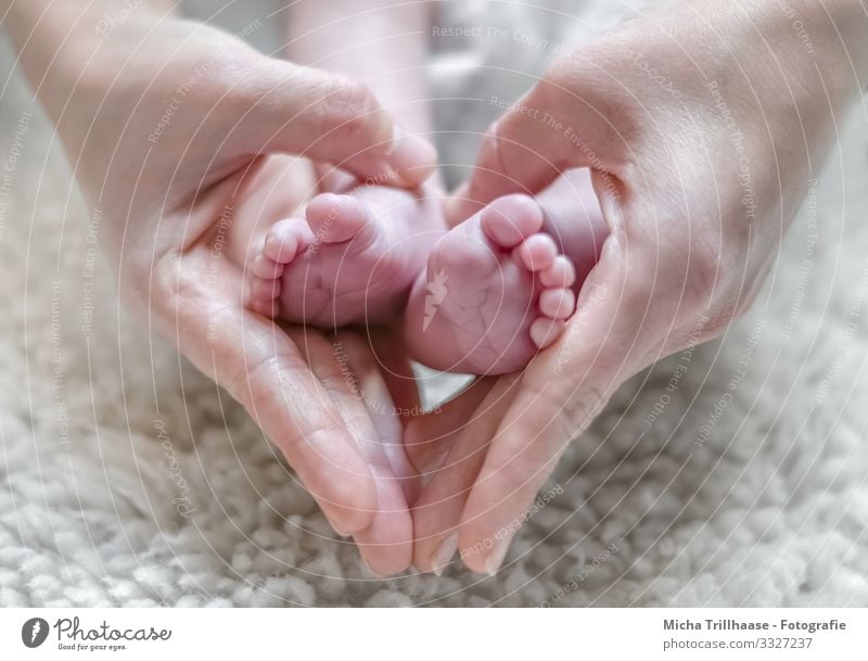 Babyglück Kind Mensch maskulin feminin Kleinkind Mädchen Junge Frau Erwachsene Mann Eltern Mutter Vater Familie & Verwandtschaft Haut Hand Finger Fuß Zehen 2