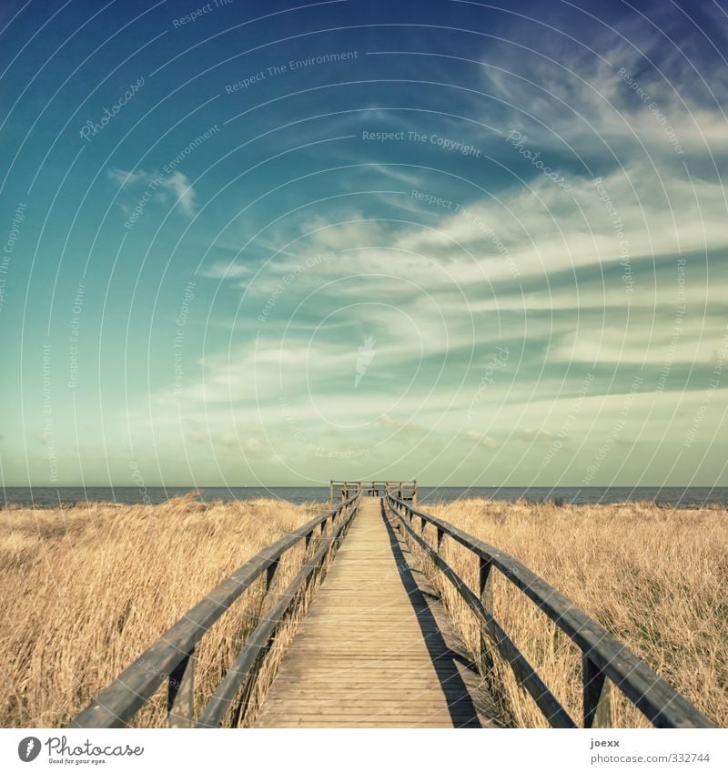 Am Ende die Freiheit Landschaft Himmel Wolken Horizont Sommer Schönes Wetter Gras Feld Küste Nordsee Insel Amrum Menschenleer Wege & Pfade Holz alt blau braun