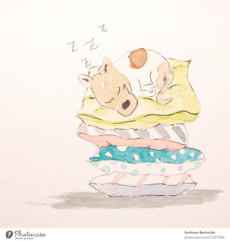 Terrier sleeping contentedly on a high stack of cozy pillows Freude Erholung Haustier Hund 1 Tier positiv Lebensfreude Tierliebe Müdigkeit breed Comic