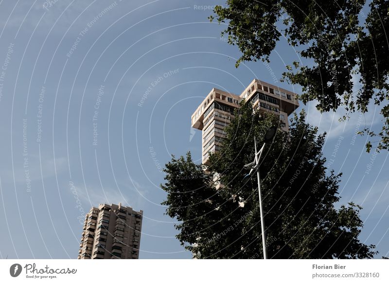 Mein Leben im Baumhaus Umwelt Himmel Klimawandel Blatt Stadt überbevölkert Haus Traumhaus Hochhaus Fassade Balkon Fenster Dach Häusliches Leben eckig gigantisch