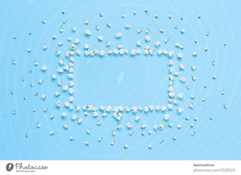 Rechteckiger Rahmen aus weißen Blumen auf blauem Hintergrund Design Dekoration & Verzierung Hochzeit Frau Erwachsene Mutter oben Kreativität romantisch