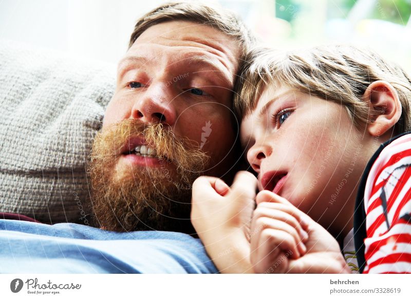 papa-sohn-kuschelzeit zuhause bleiben Buch lesen Schule lernen Literatur Kind Junge Eltern Erwachsene Vater Familie & Verwandtschaft Kindheit Auge Gesicht