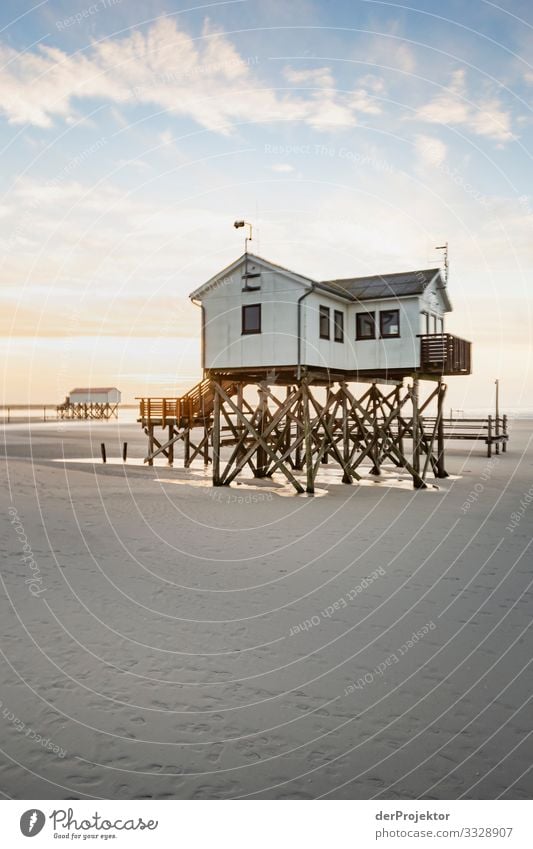 Pfahlhütte am Strand St. Peter-Ording Weitwinkel Panorama (Aussicht) Totale Froschperspektive Starke Tiefenschärfe Sonnenuntergang Sonnenaufgang Sonnenstrahlen