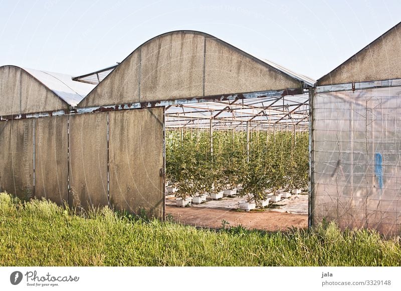 gewächshaus Arbeit & Erwerbstätigkeit Beruf Gartenarbeit Arbeitsplatz Landwirtschaft Forstwirtschaft Himmel Gras Gebäude Gewächshaus Farbfoto Außenaufnahme