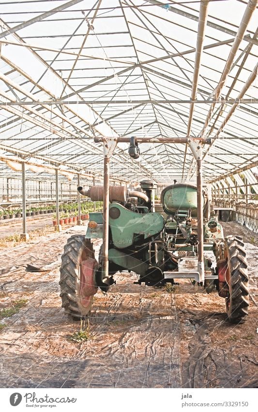 Gefährt Arbeit & Erwerbstätigkeit Gartenarbeit Landwirtschaft Forstwirtschaft Bauwerk Gebäude Gewächshaus Fahrzeug Traktor einfach Farbfoto Innenaufnahme