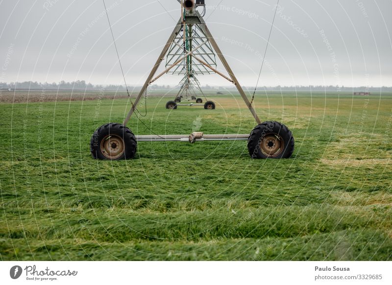 Bewässerungssystem Ackerbau grün Feld Himmel Landschaft Schönes Wetter Umwelt Natur Nutzpflanze Tag Außenaufnahme Farbfoto Wachstum Horizont Textfreiraum unten