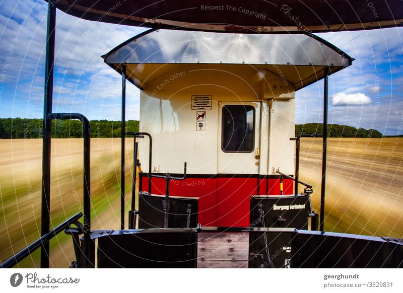 Ein Wackeldackel namens Molli Ferien & Urlaub & Reisen Tourismus Ausflug Abenteuer Sommer Sommerurlaub Natur Landschaft Himmel Feld Verkehr Verkehrsmittel