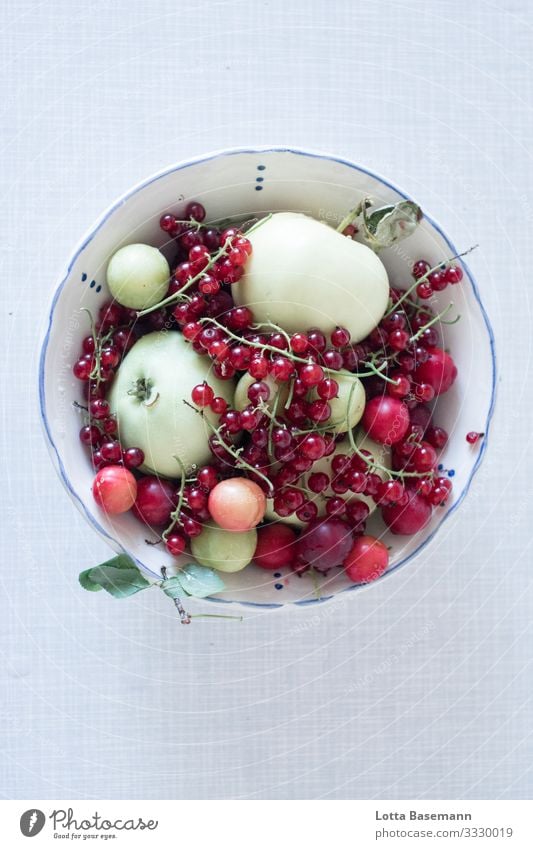 Gartenobst Lebensmittel Frucht Apfel Beeren Johannisbeeren Mirabelle Ernährung Bioprodukte Vegetarische Ernährung Geschirr Schalen & Schüsseln Sommer Blatt