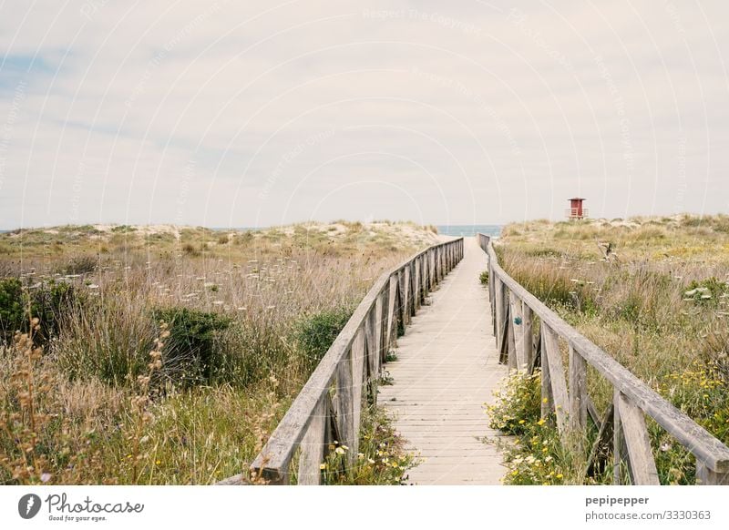 weg zum Strand Ferien & Urlaub & Reisen Tourismus Ausflug Ferne Freiheit Sommerurlaub Meer Insel Wellen Düne Wassersport Umwelt Natur Landschaft Sand Himmel