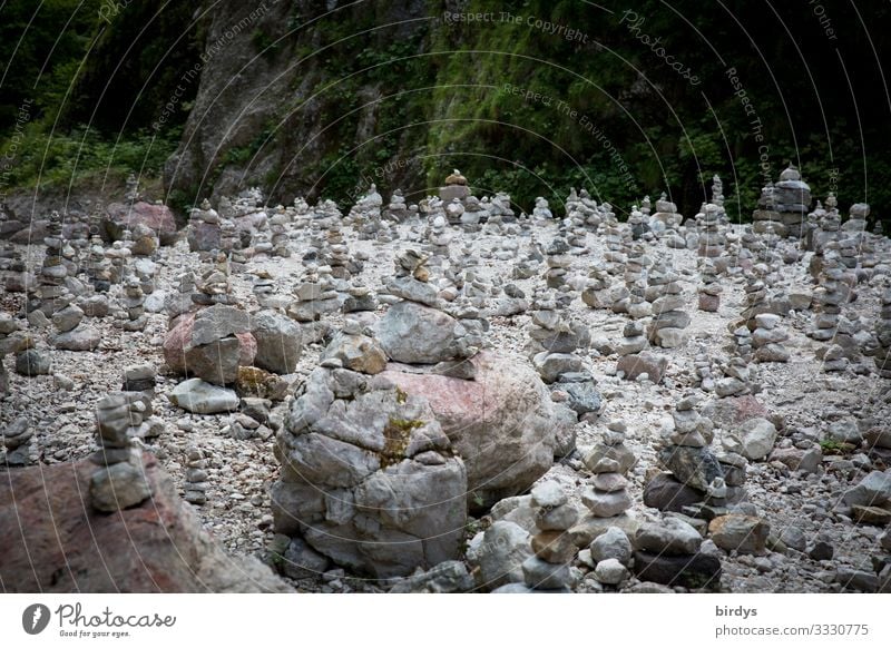 Volk ohne Führer Sommer Berge u. Gebirge wandern Natur Tal Steinmännchen stehen authentisch positiv viele grau grün standhaft entdecken Freude