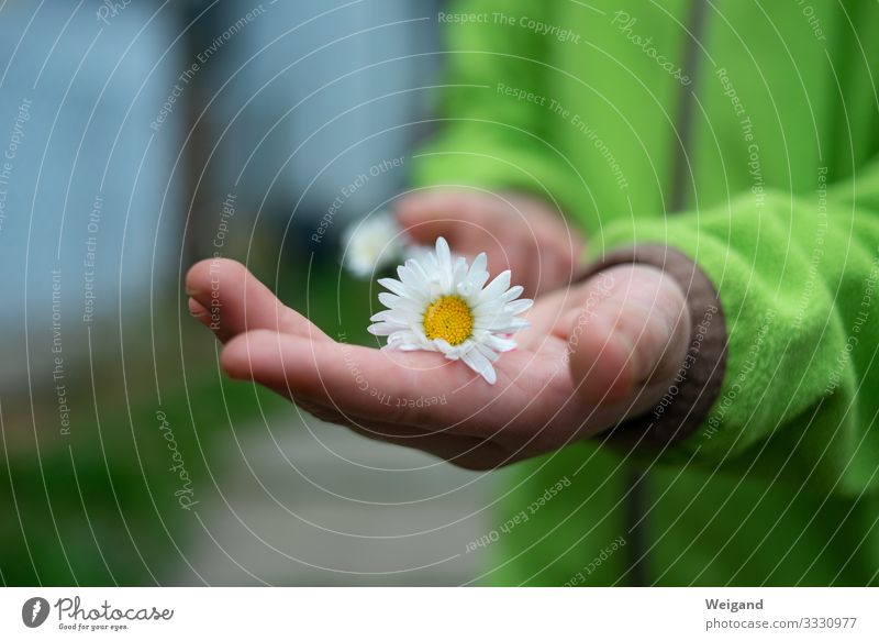 Dankeschön Duft Kindergarten Mädchen Junge Hand 1 Mensch 3-8 Jahre Kindheit Partnerschaft Kommunizieren Konflikt & Streit Zusammenhalt Muttertag danke schön