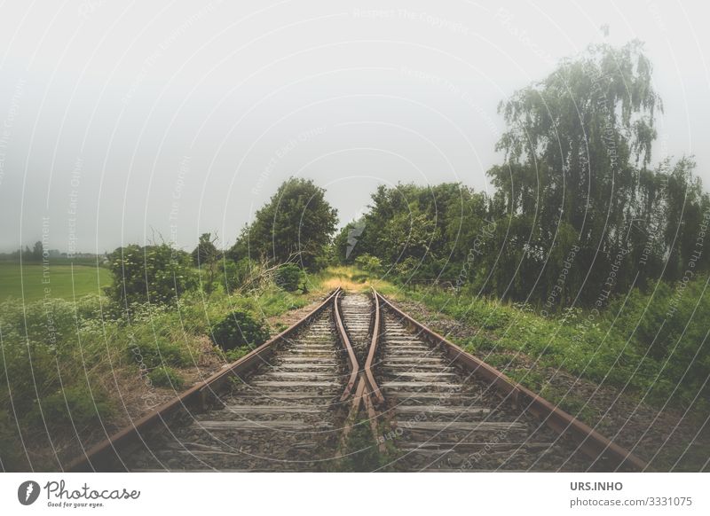 Bahngleise enden im Nirgendwo Natur Landschaft Frühling Sommer schlechtes Wetter Nebel Pflanze Baum Sträucher Wiese Feld Verkehrswege Schienenverkehr Gleise