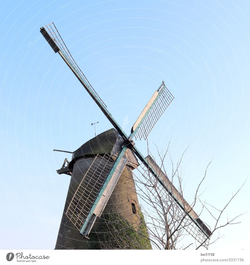 Kappenwindmühle mit Kirschbaum Windkraftanlage Winter Feld Bauwerk Mauer Wand Sehenswürdigkeit Denkmal Windmühle Kraft Windmühlenflügel Getreide zerkleinern