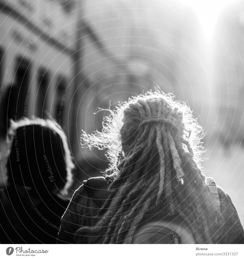 der Sonne entgegen Gegenlicht Schönes Wetter Menschengruppe Haare & Frisuren Rastalocken Rückansicht Sightseeing Fußgängerzone Städtereise Abendsonne leuchten