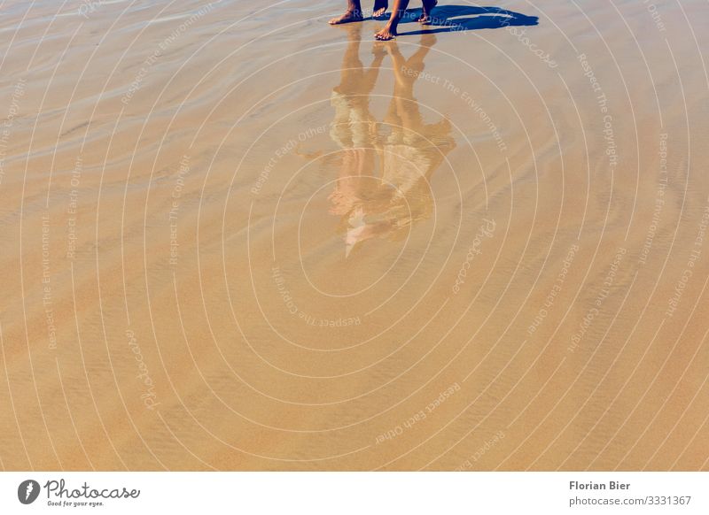 Down Under&#8232; Ferien & Urlaub & Reisen Ausflug Sommerurlaub Strand Mensch Schönes Wetter Bewegung Erholung gehen träumen Glück Unendlichkeit hell maritim