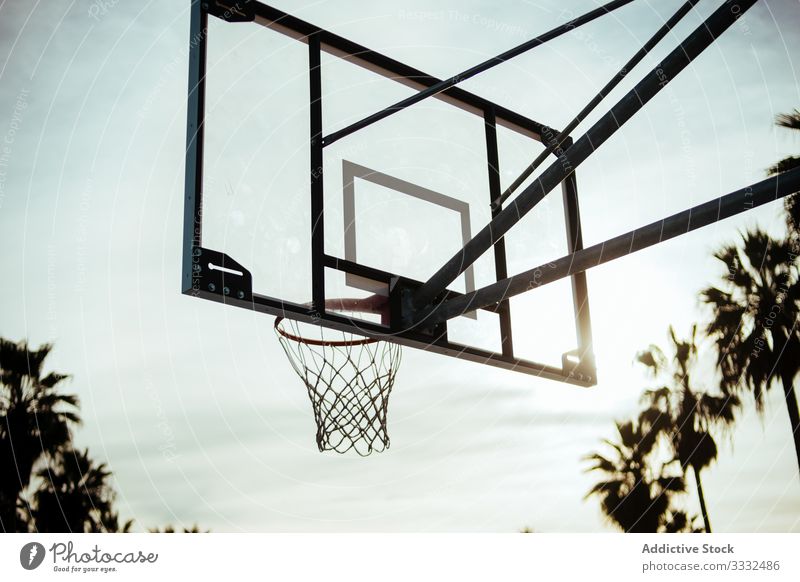 Basketball-Backboard und Ringnetz auf dem Platz Netz Park Handfläche Baum Sonnenlicht Himmel Venice Beach USA Rückwand Ball Korb kreisen wolkig Konkurrenz