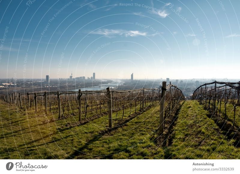 Blick auf Wien Umwelt Natur Landschaft Pflanze Luft Himmel Wolken Horizont Herbst Wetter Schönes Wetter Sträucher Nutzpflanze Wein Wiese Hügel Fluss Donau