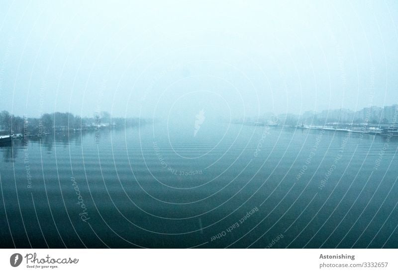 Donau im Nebel Umwelt Natur Landschaft Wasser Himmel Wolken Winter Klima Wetter schlechtes Wetter Unwetter Wind Schnee Schneefall Pflanze Baum Wellen Küste