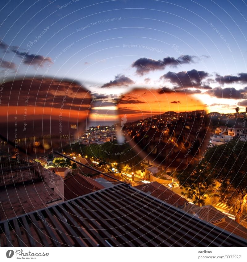 Funchal | Goldene Zeiten Portugal Madeira Hauptstadt Altstadt Panorama (Aussicht) Licht Nacht Abenddämmerung Sonnenbrille Frühling Tourismus Senior Altenteil