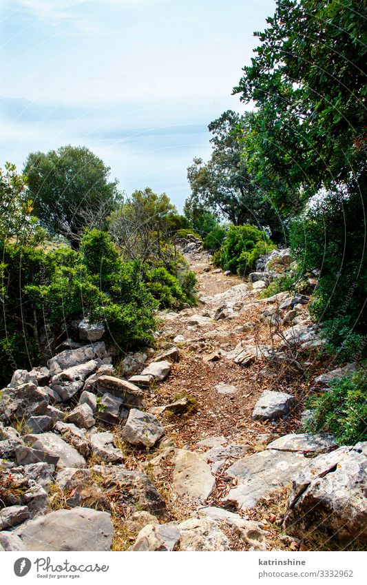 Wanderweg im Cilento-Nationalpark, Kampanien, Italien schön ruhig Ferien & Urlaub & Reisen wandern Sport Natur Landschaft Himmel Baum Wald Küste Wege & Pfade