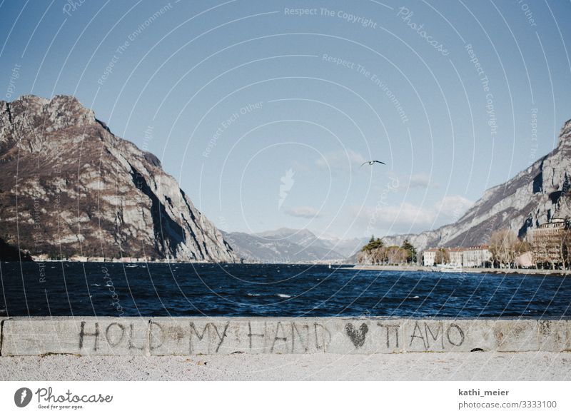 Ti Amo Italien Comer See Fischerdorf Hafen Mauer Wand Zeichen Schriftzeichen Herz fliegen authentisch Glück Kitsch schön blau Zufriedenheit Lebensfreude Liebe