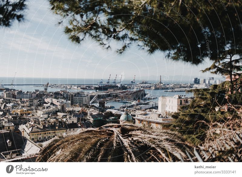 Blick auf Genua im Januar Hafenstadt Europa Küste Urlaub Stadt Panorama (Aussicht) Stadtrand Außenaufnahme Städtereise Sightseeing Skyline Sehenswürdigkeit