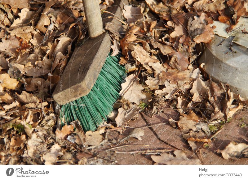 Straßenbesen aus Holz mit grünen Kunststoffborsten steht in verwelktem Laub Umwelt Natur Winter Blatt Besen liegen stehen dehydrieren authentisch eckig einfach