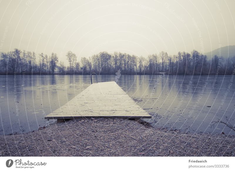 Steg am See Natur Landschaft Erde Wasser Himmel Winter Baum Seeufer atmen Beratung Bewegung Erholung laufen kalt nass natürlich achtsam ruhig Leben Leichtigkeit