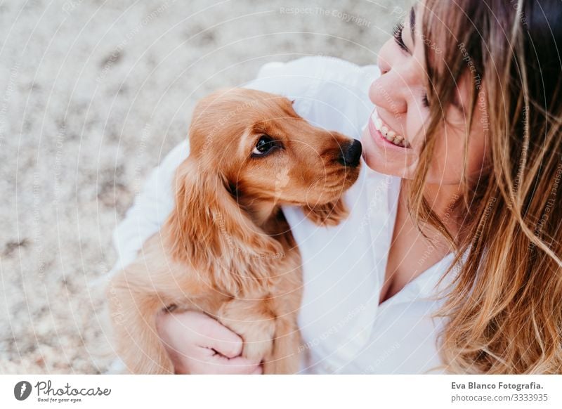 junge Frau und ihr süßer Cockerspaniel-Welpe im Freien in einem Park Hund Haustier Sonnenstrahlen Außenaufnahme Liebe Umarmen Lächeln Rückansicht Küssen züchten