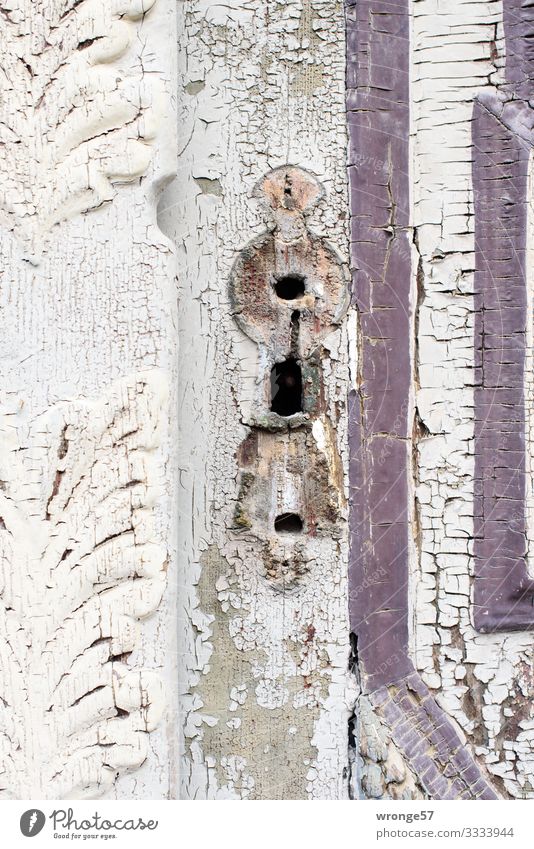 Tür und Tor (4) Haus alt Außenaufnahme Eingangstür Tag Farbfoto Altstadt Holztür geschlossen Detailaufnahme Gedeckte Farben verfallen Hochformat weiß