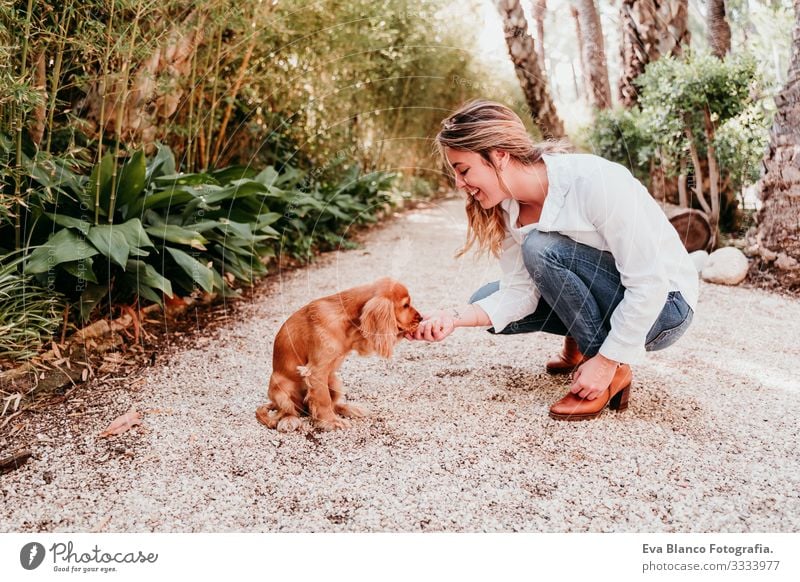 süßer Welpe eines Cockerspaniel-Hundes, der seinem Besitzer in einem Park die Pfote gibt Pfoten high five Frau Haustier Sonnenstrahlen Außenaufnahme Liebe