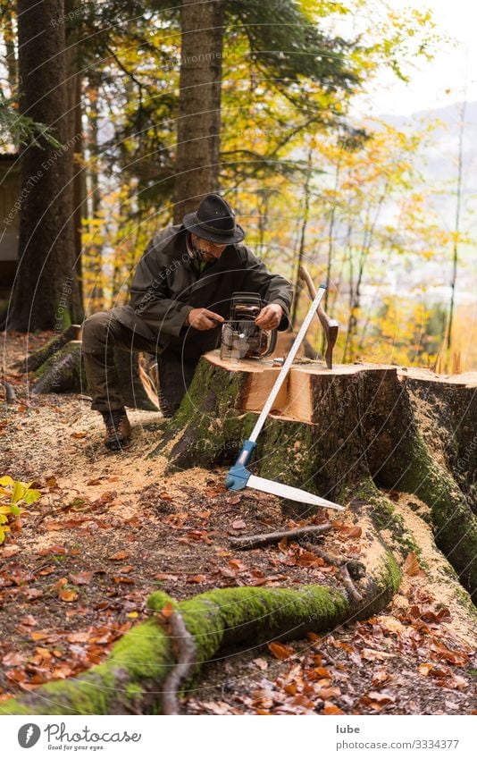 Waldarbeiter 3 Arbeit & Erwerbstätigkeit Beruf Landwirtschaft Forstwirtschaft Umwelt Natur Landschaft Holz Holzfäller Baum Baum fällen Förster Waldaufseher