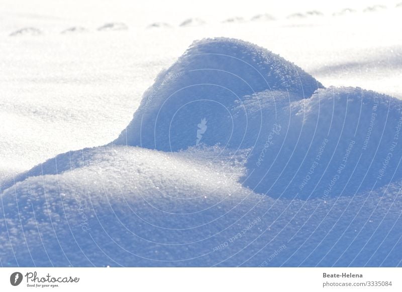 eiskalter Akt schön Kunstwerk Natur Wasser Sonnenlicht Winter Schönes Wetter Eis Frost Schnee Schwarzwald Sehenswürdigkeit Zeichen liegen warten ästhetisch