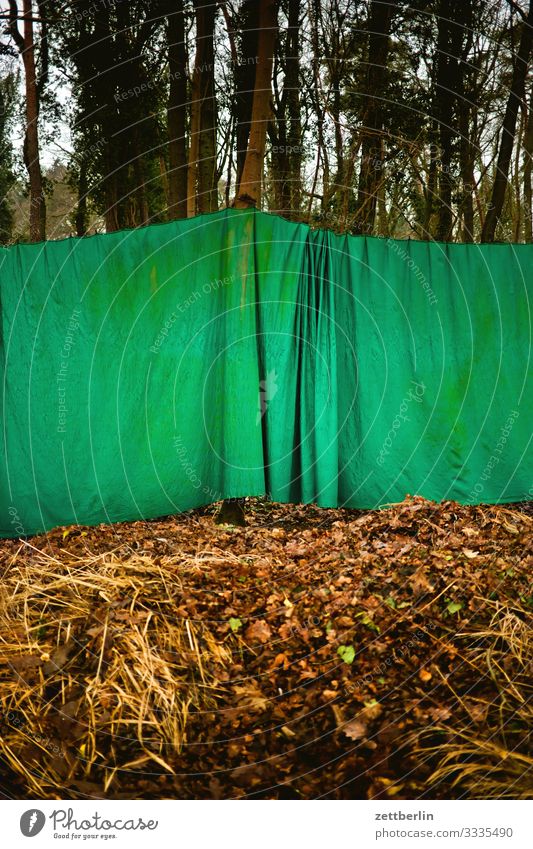 Grüner Vorhang im Wald Ausflug Berlin Brandenburg neu fahrland Natur wandern Falte Faltenwurf geschlossen unsichtbar Tarnung blind grün Abtrennung Abteilung