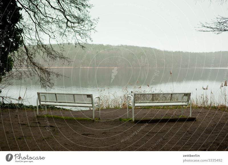 Zwei Bänke am Krampnitzsee Ausflug Berlin Brandenburg Dorf Kleinstadt neu fahrland See speckgürtel Seeufer Wald Waldsee wandern Winter Bank 2 paarweise