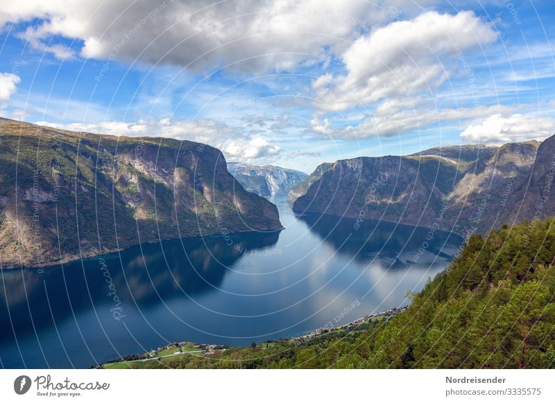 Aurlandsfjord Ferien & Urlaub & Reisen Tourismus Ferne Sommerurlaub Meer Natur Landschaft Urelemente Wasser Himmel Wolken Schönes Wetter Wald Felsen