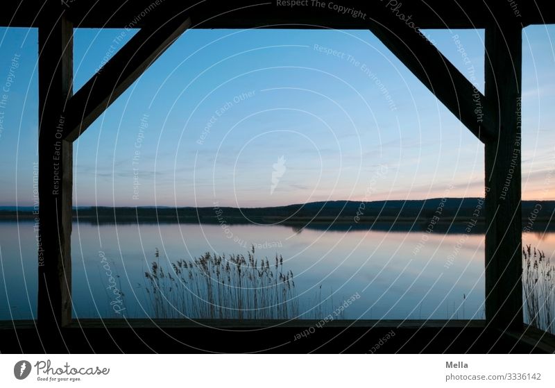 Blaue Stund hat Gold im Mund | Abendstimmung am See Abenddämmerung Stimmung Dämmerung Himmel Sonnenuntergang Natur Landschaft Menschenleer Wasser ruhig Umwelt