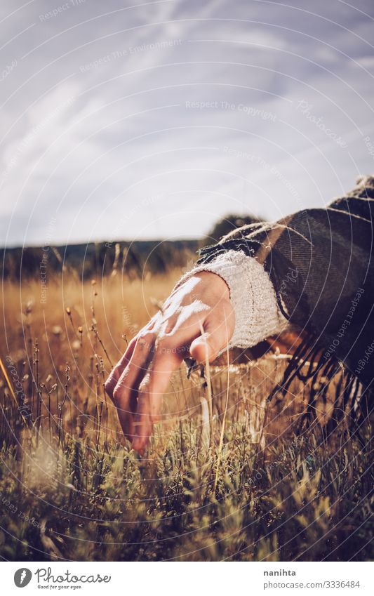 Nahaufnahme einer männlichen Hand bei der Kräuterernte Kräuter & Gewürze Körper Haut Sinnesorgane Sommer Mann Erwachsene Finger Natur Pflanze Herbst