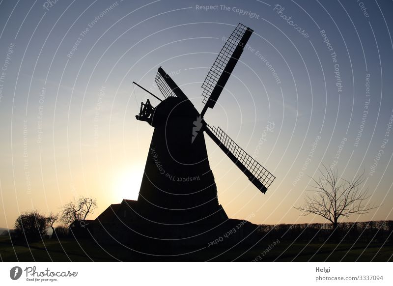 Silhouette eine Windmühle im Abendlicht Umwelt Natur Landschaft Pflanze Himmel Winter Schönes Wetter Baum Dorf Bauwerk Gebäude leuchten stehen alt ästhetisch