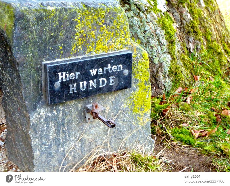 freier Hundewarteplatz ... Schild Schrift warten draußen anbinden Haken Warteplatz Stein menschenleer Buchstaben Schilder & Markierungen Hinweisschild