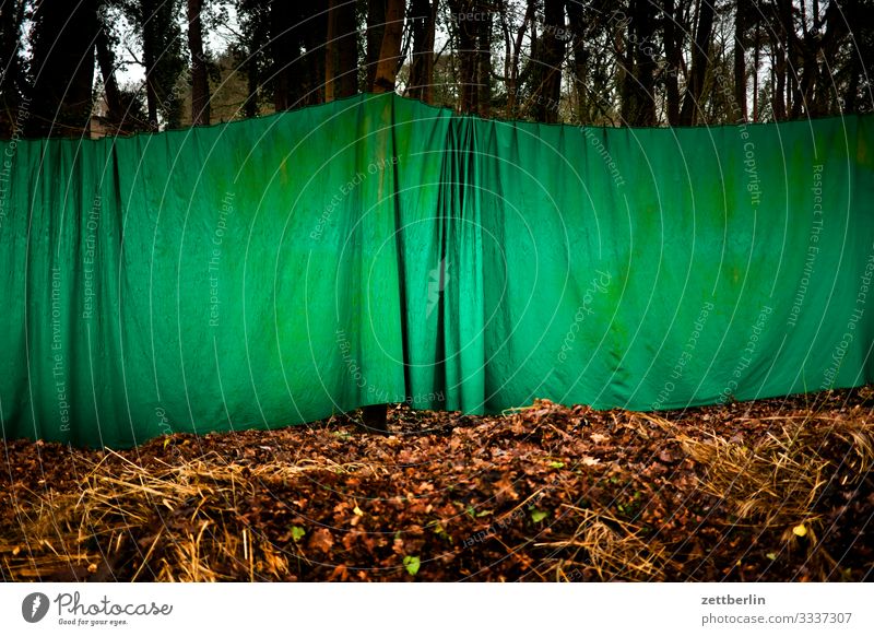 Grüner Vorhang im Wald Ausflug Berlin Brandenburg neu fahrland Natur wandern Falte Faltenwurf geschlossen unsichtbar Tarnung blind grün Abtrennung Abteilung